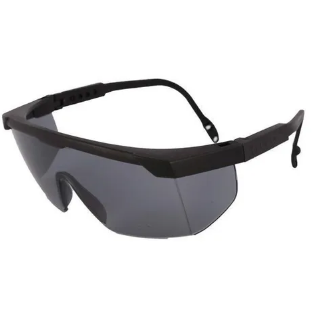 Anteojo Libus Argon Patilla Regulable AF Antiempaño Transparente o Gris IRAM