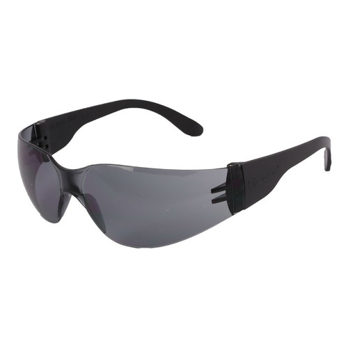 Anteojo Libus Ecoline Monolente Ergonómico HC Antiraya Transp Gris o Ambar IRAM